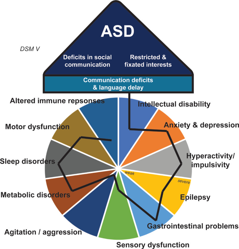 Autism Spectrum Disorder